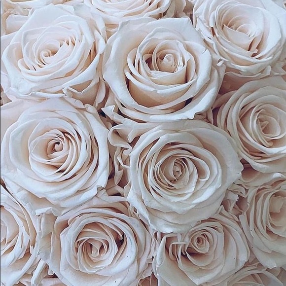 Meet your Posher, Breauna - Picture 1 of 1